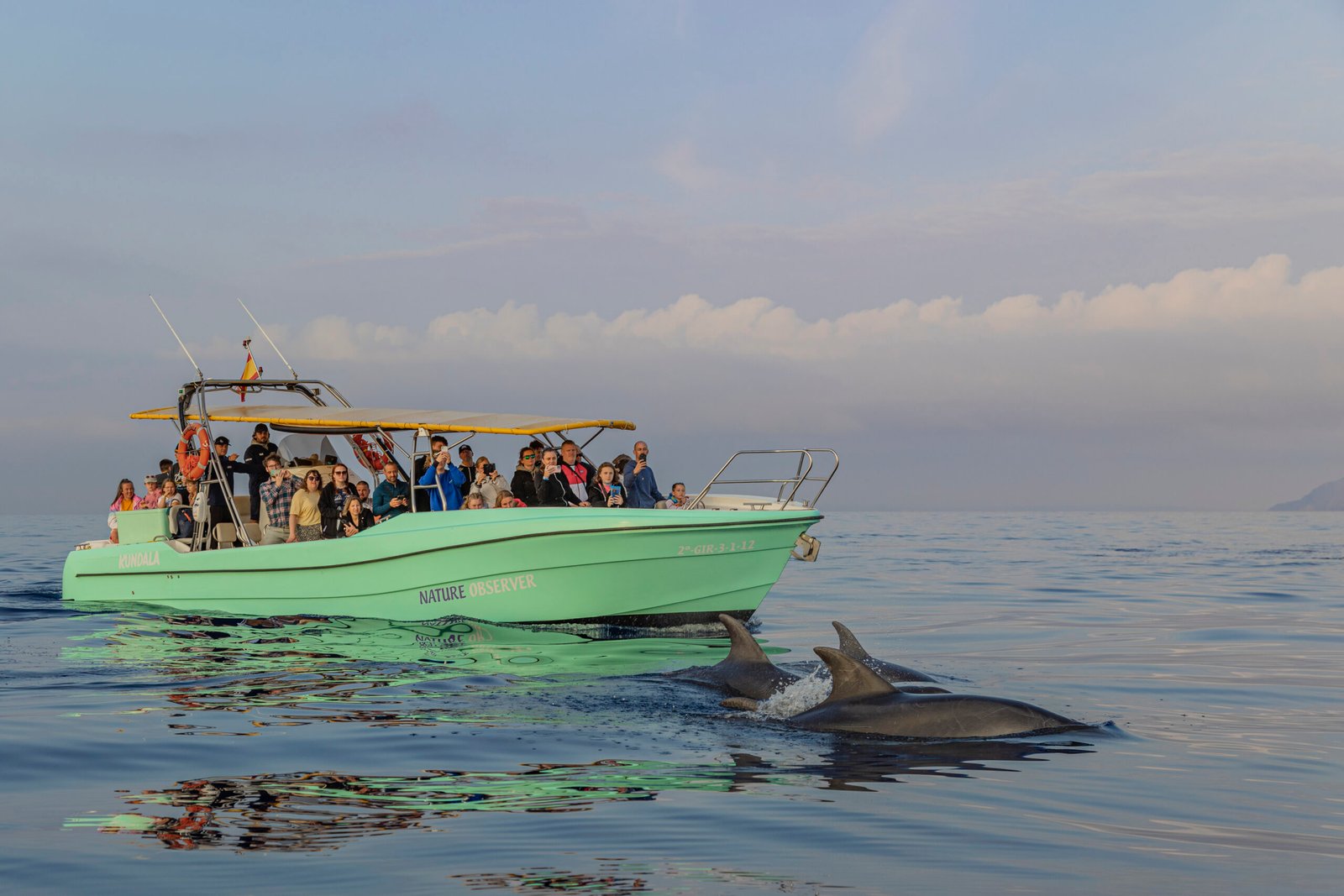 Avistamiento de delfines en Mallorca
