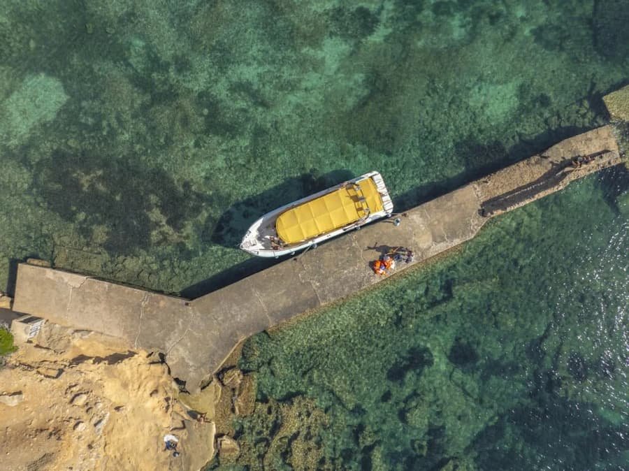 excursion parc llevant